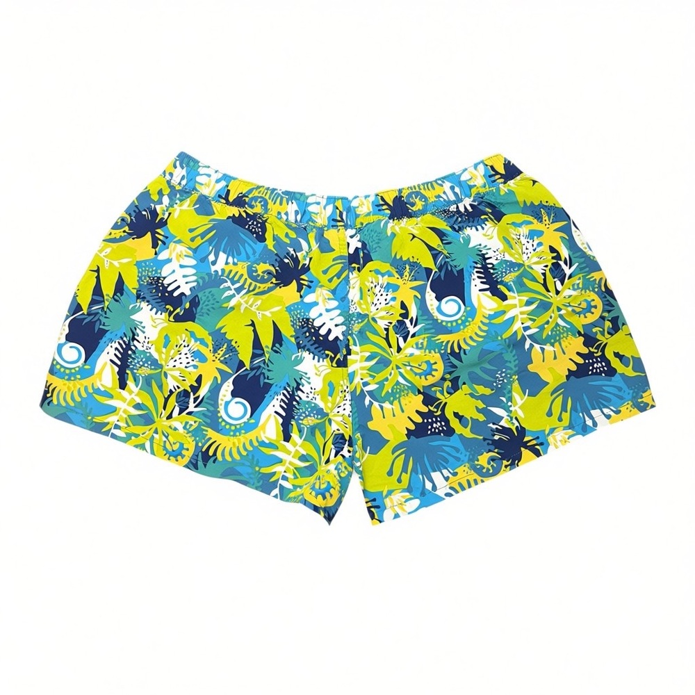 Patagonia Barely Baggies Shorts 2.5" Wild Waratah Tasmanian Teal